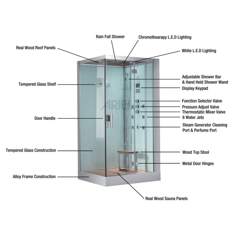 Platinum DZ961F8 2 Person Walk-In Steam Shower - Image 13